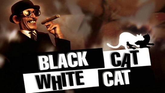 ფილმები, რომელიც უნდა ნახო სანამ ცოცხალი ხარ - შავი კატა, თეთრი კატა / Crna macka, beli macor
