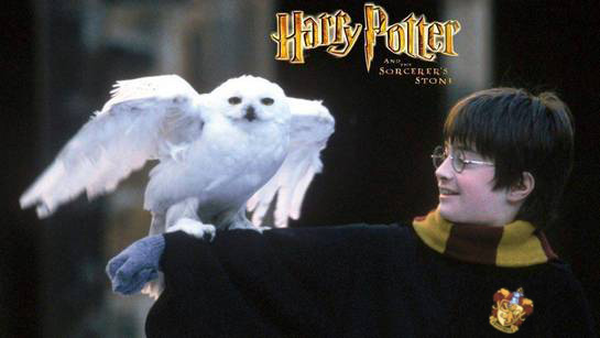 ფილმები, რომელიც უნდა ნახო სანამ ცოცხალი ხარ - ჰარი პოტერი და ფილოსოფიური ქვა / Harry Potter and the Sorcerer's Stone