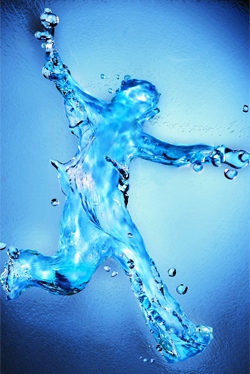 რა ფუნქციებს ასრულებს წყალი ორგანიზმში?