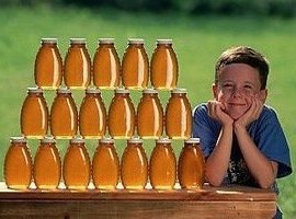 როგორ შევინახოთ თაფლი