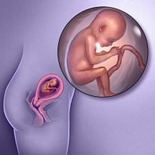 ფეხმძიმობის მე-18 კვირა - მომავალი ბავშვი